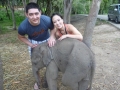 Yes, that's an elephant. No, you can't have one. (That goes for you, too, Tara.) - Chiang Mai, Thailand